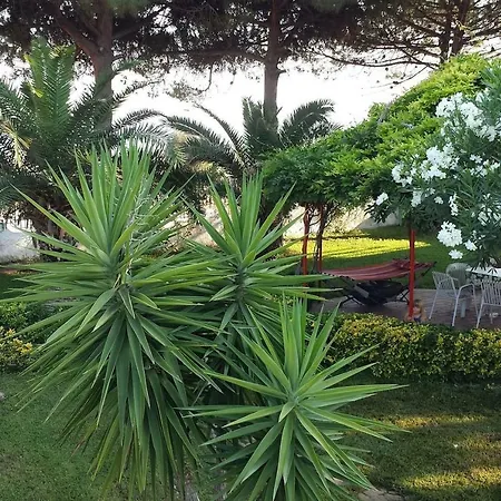 Splendida Con Accesso Diretto Alla Spiaggia Villa *